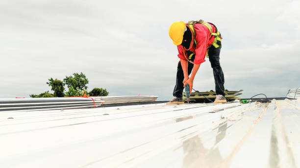 Professional Roofing Service in Palos Park, IL